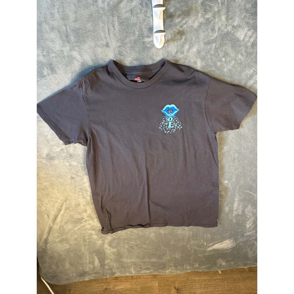 Hanes Wet Willies 25th Anniversary Dynasty of Cool Tour Graphic T-Shirt Gray L